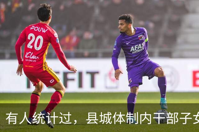 有人统计过，县城体制内干部子女基本在机关事业、电力等国企工作