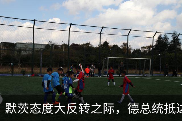 默茨态度大反转之际，德总统抵达安徽，只为向中国证明一件事